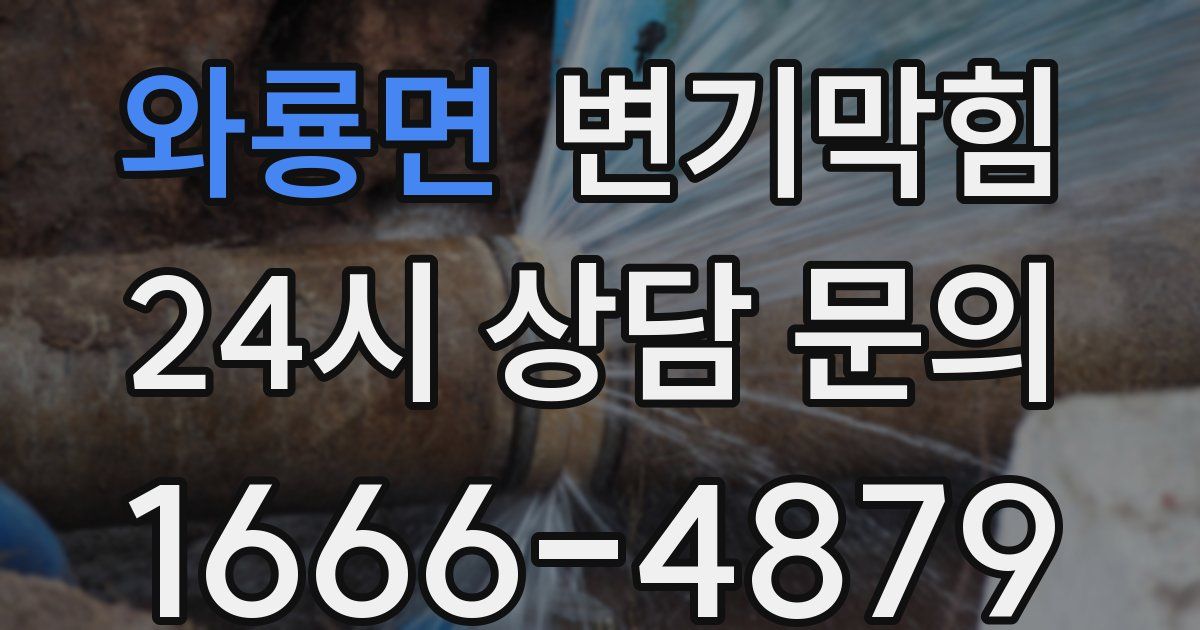 와룡면 변기