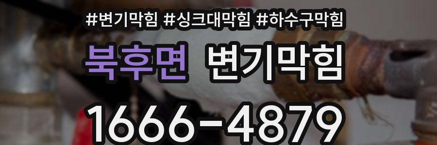 변기막힘