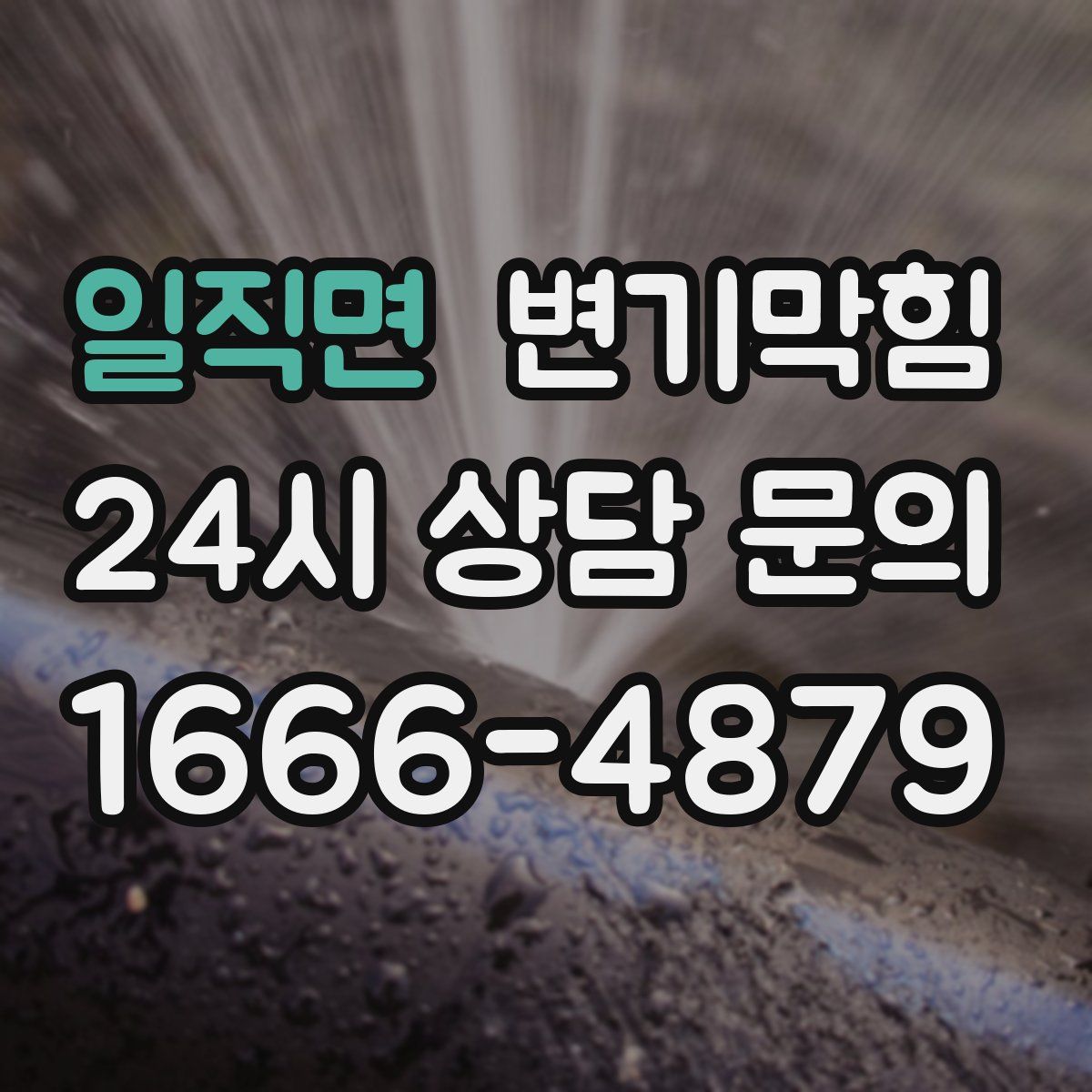 일직면 변기막힘