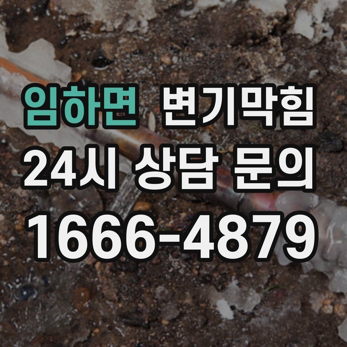 임하면 변기막힘 카페 배수구막힘 악취 잡은 사례