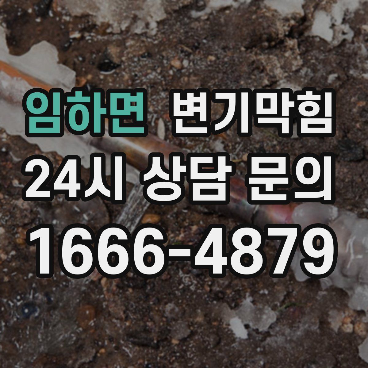 임하면 변기막힘