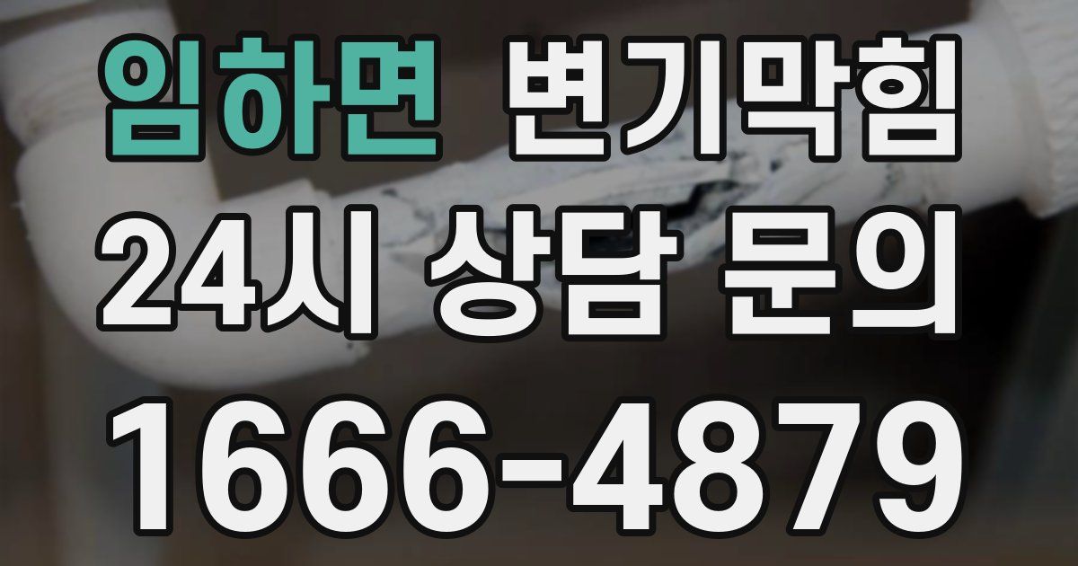 임하면 변기