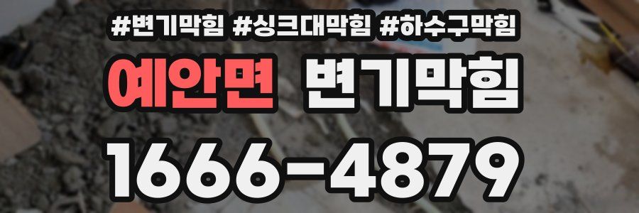 변기막힘