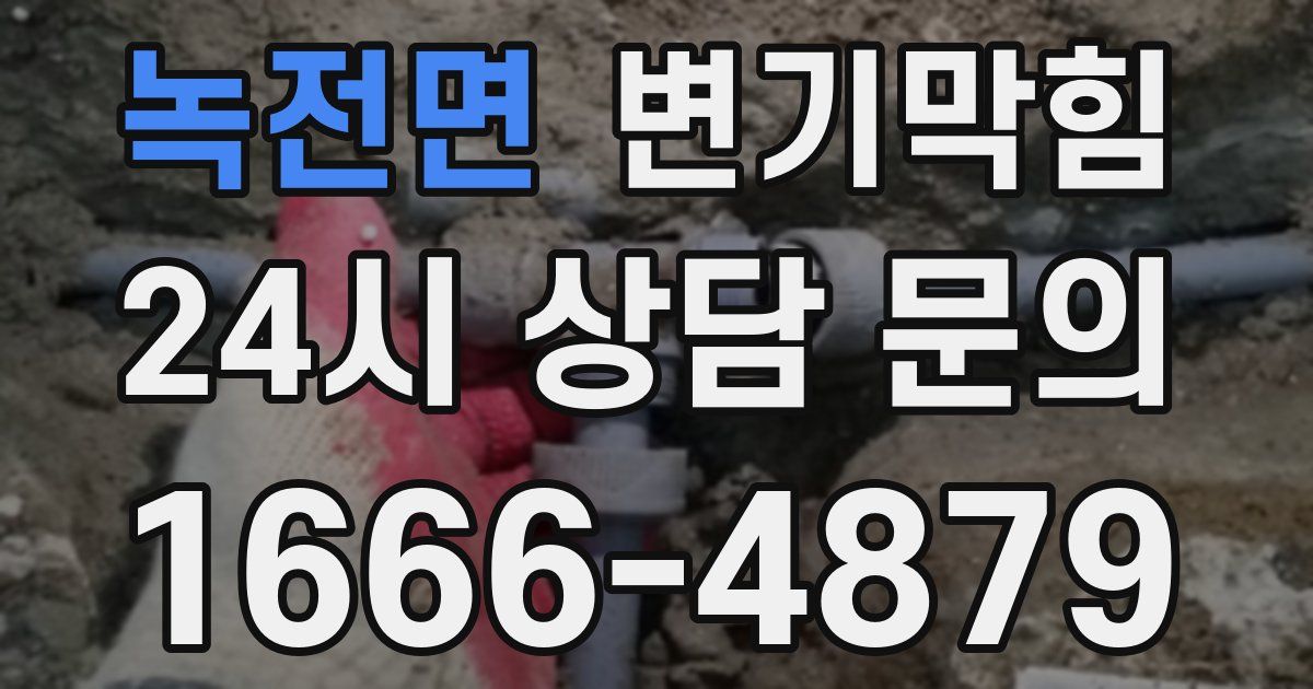 녹전면 변기