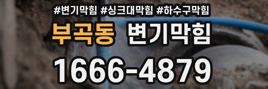 변기막힘