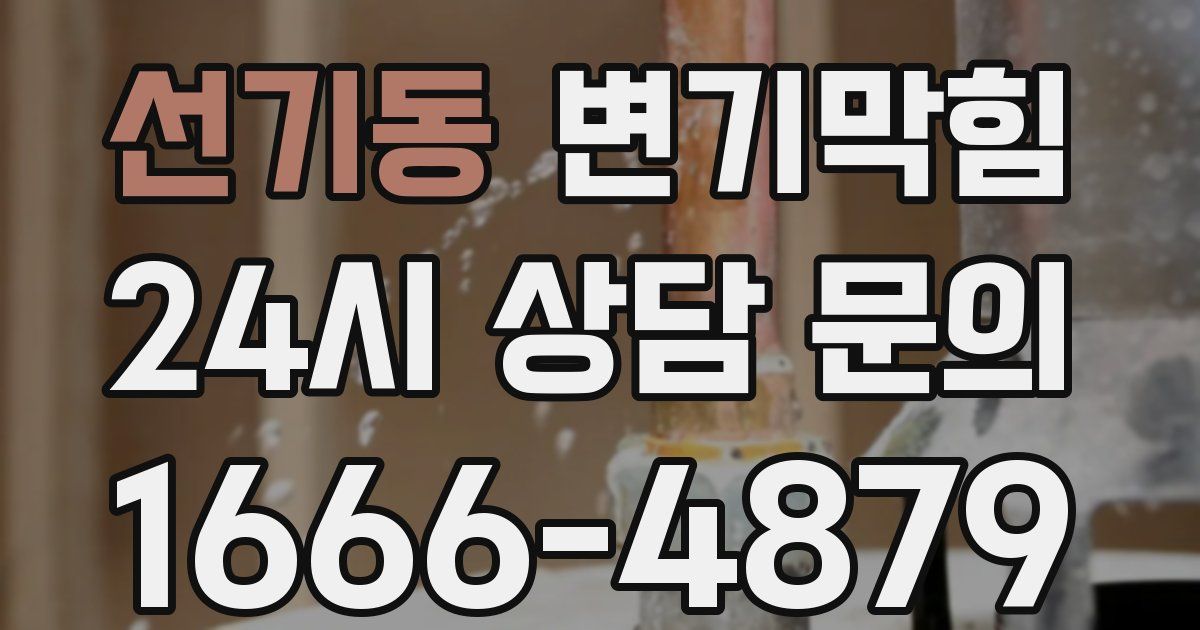 선기동 변기