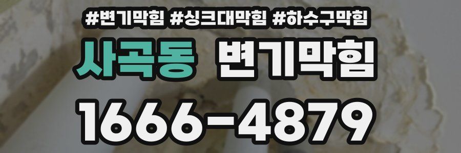 변기막힘