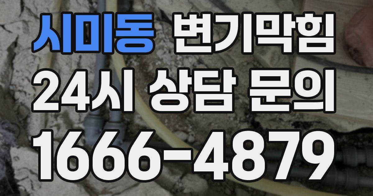 시미동 변기
