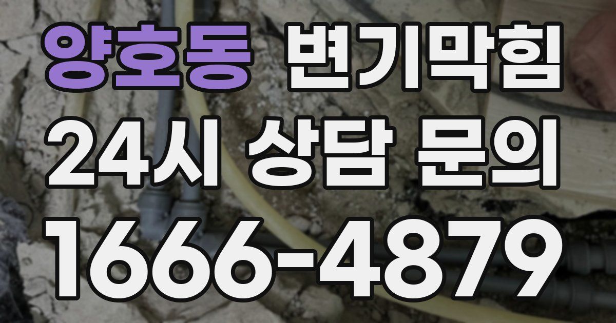 양호동 변기