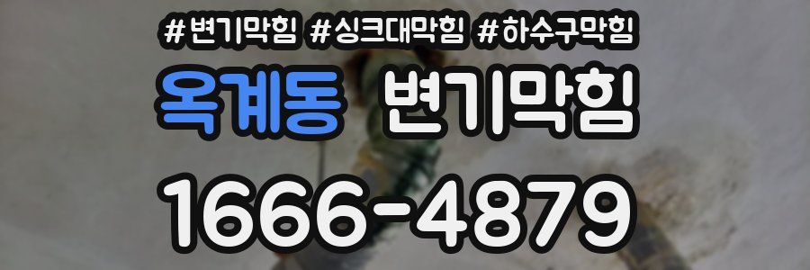 변기막힘