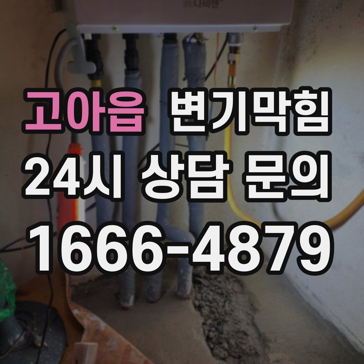 고아읍 변기막힘 사무실 화장실뚫기 회의실 앞 정리