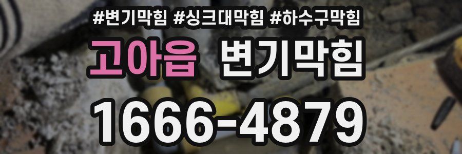 변기막힘