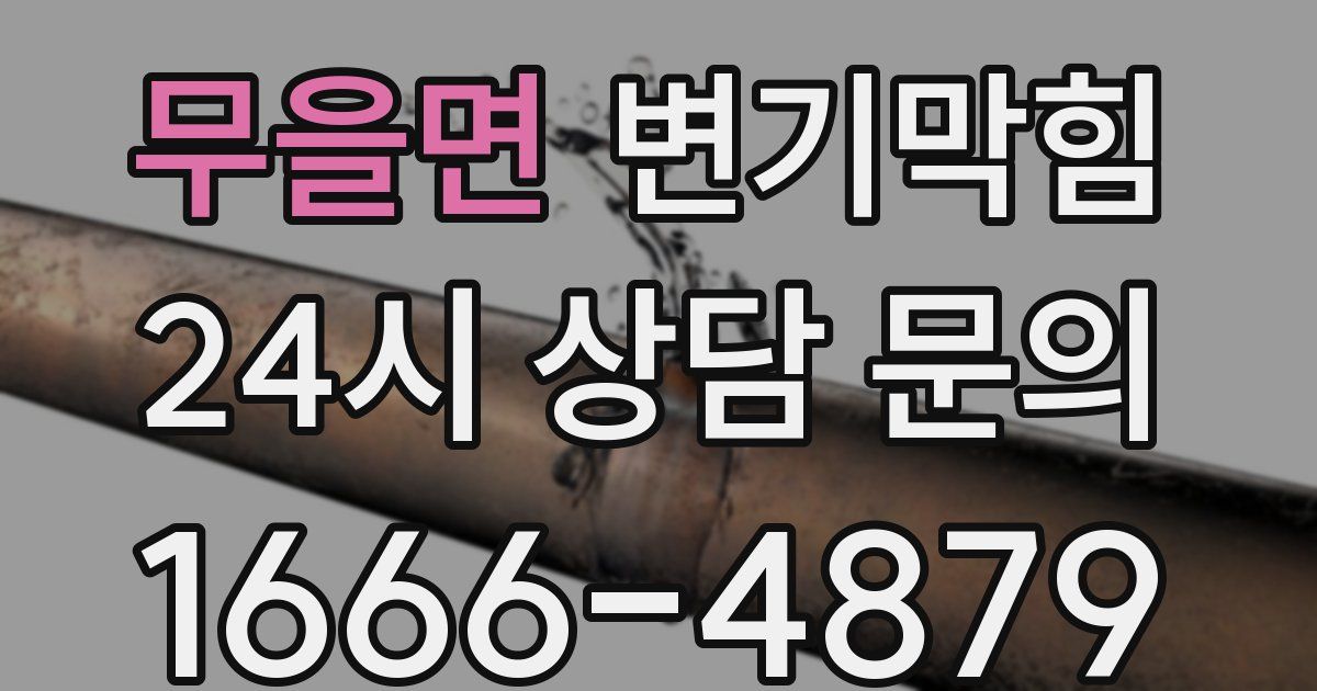 무을면 변기