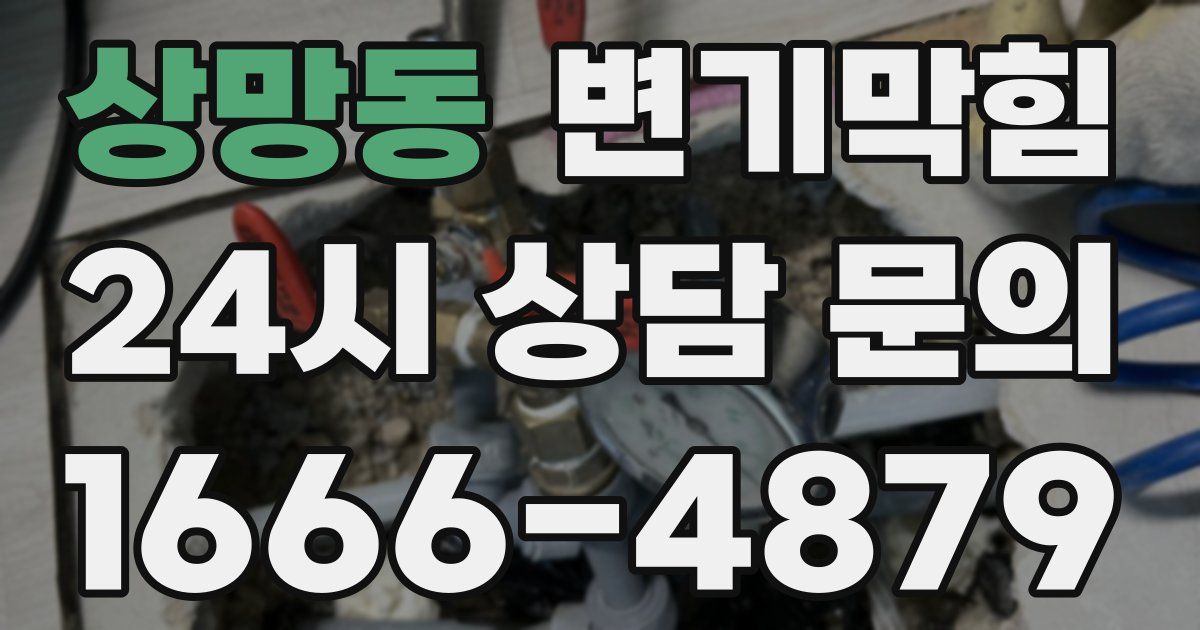 상망동 변기