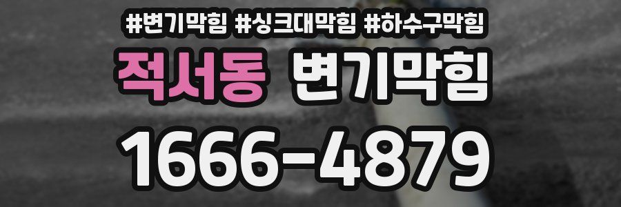 변기막힘