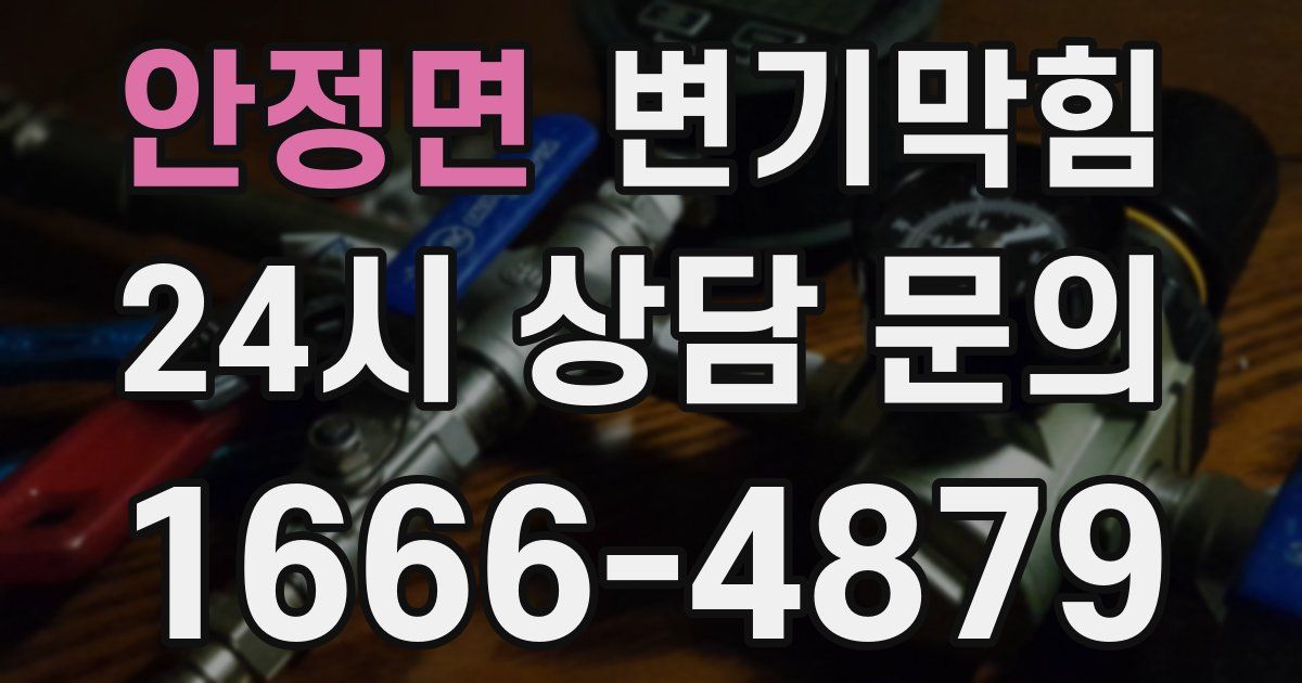 안정면 변기