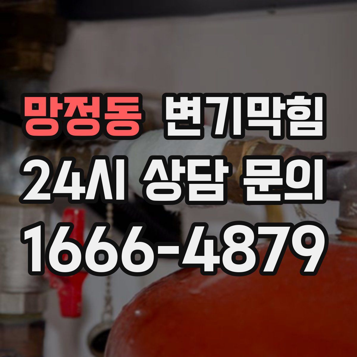 망정동 변기막힘