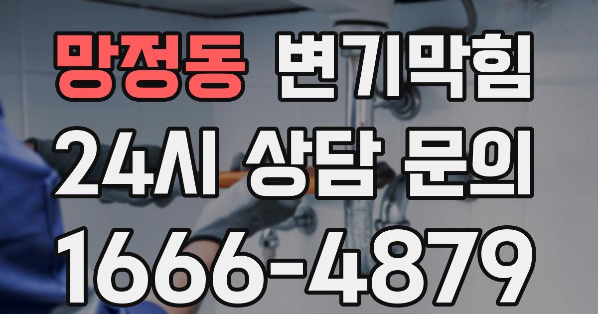 망정동 변기