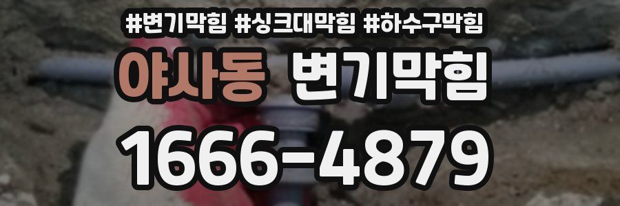 변기막힘