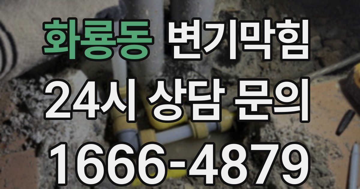 화룡동 변기