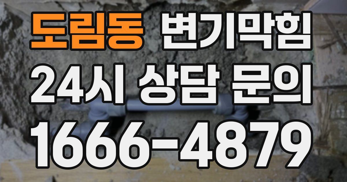 도림동 변기