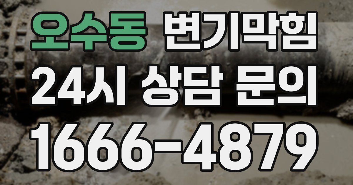 오수동 변기