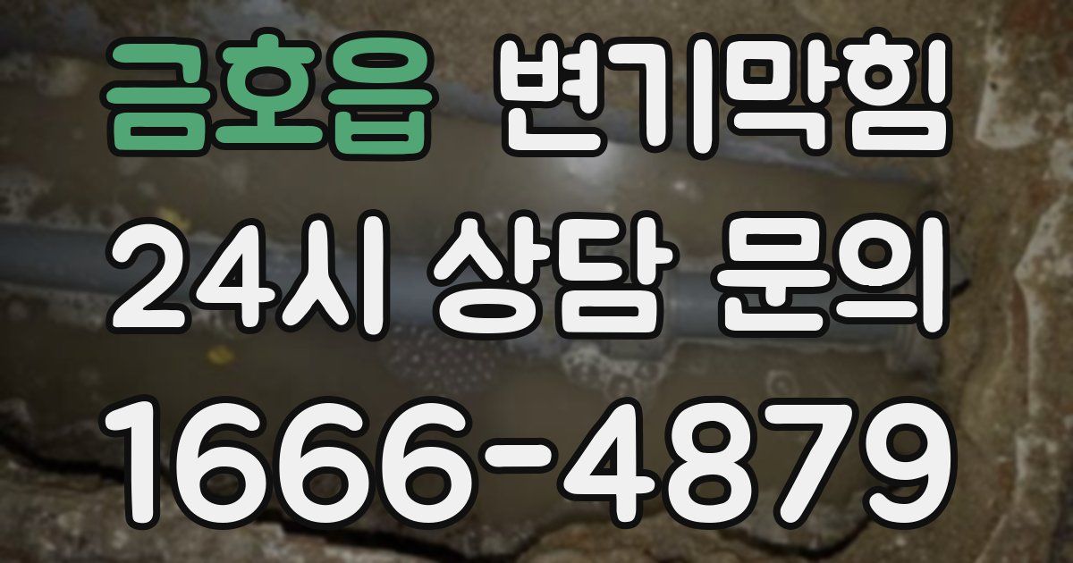 금호읍 변기