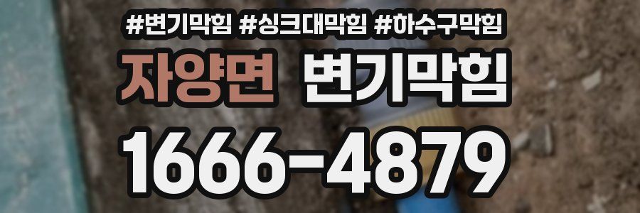 변기막힘