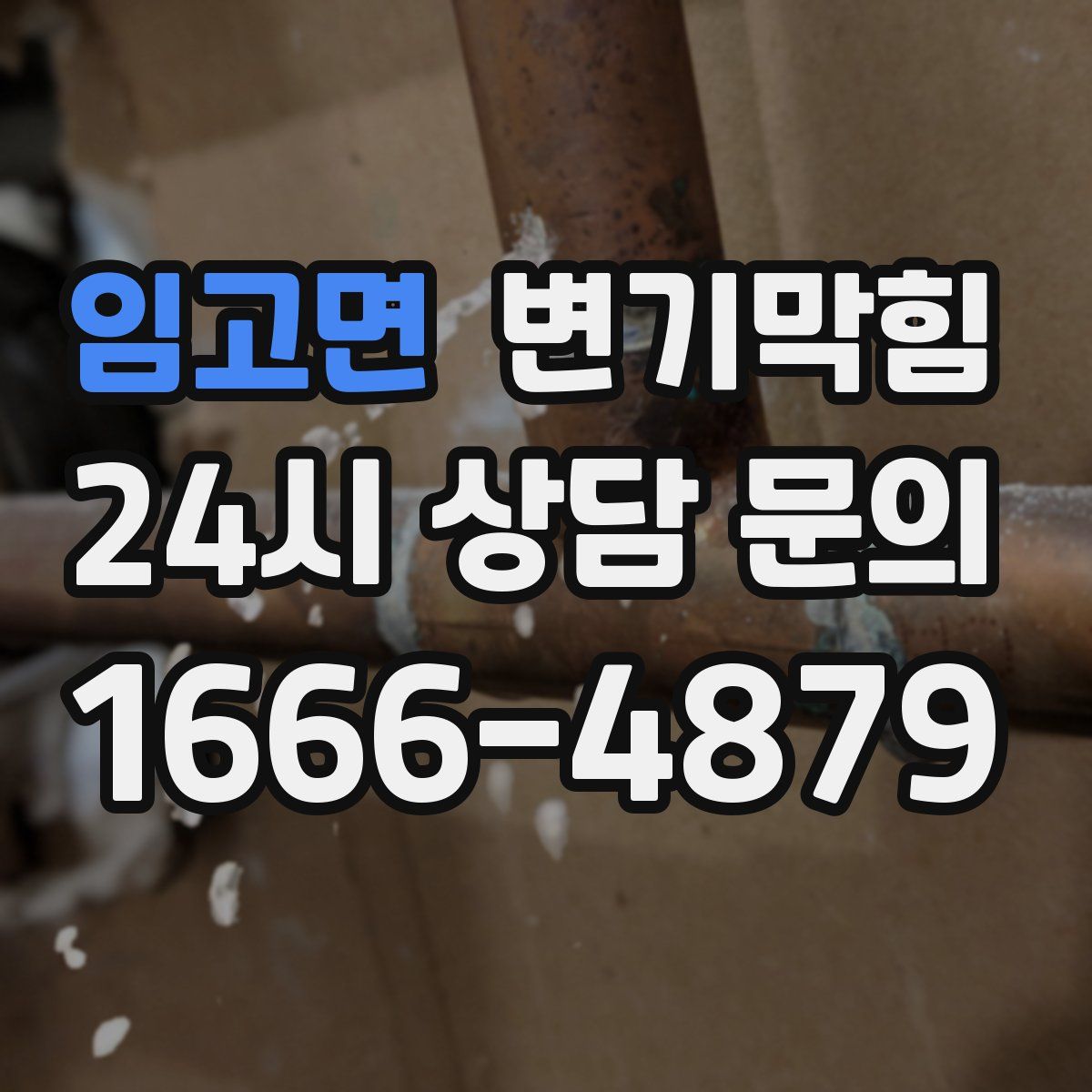 임고면 변기막힘
