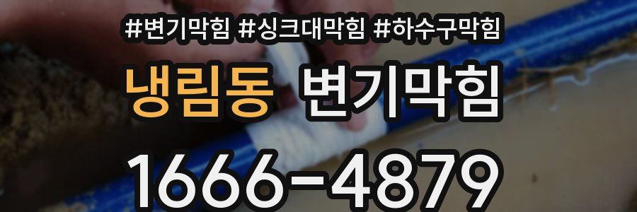 변기막힘