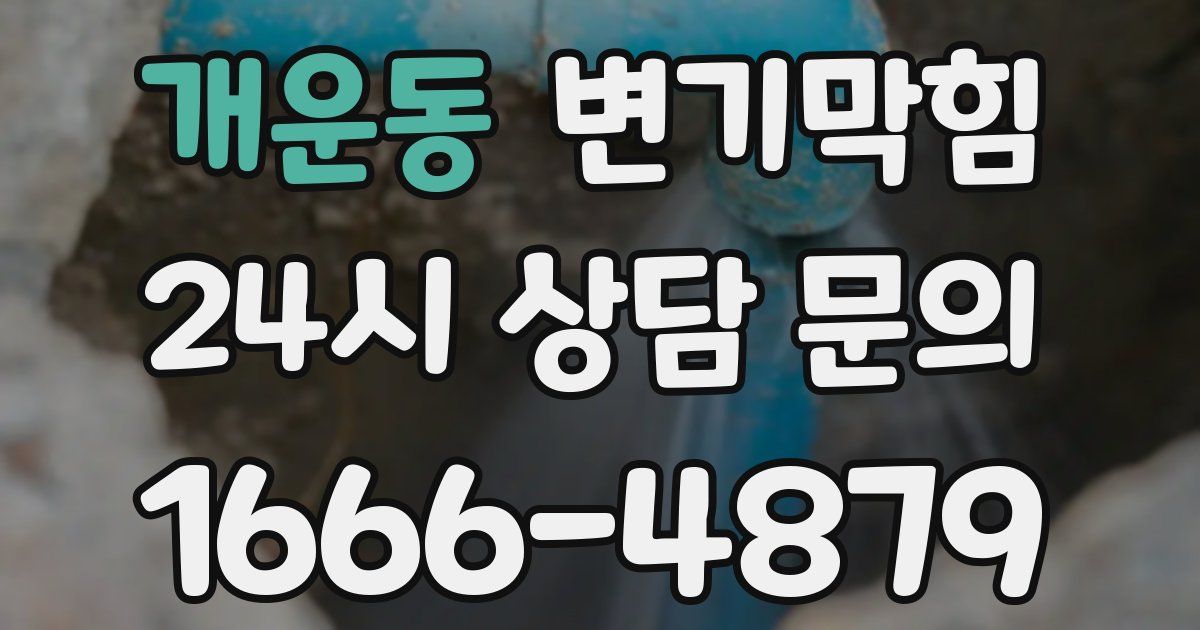 개운동 변기
