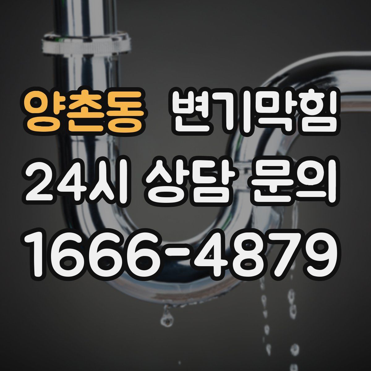 양촌동 변기막힘