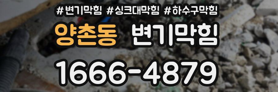 변기막힘