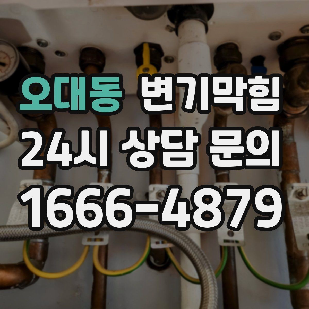 오대동 변기막힘 카페 화장실역류 오픈 전 점검 루틴