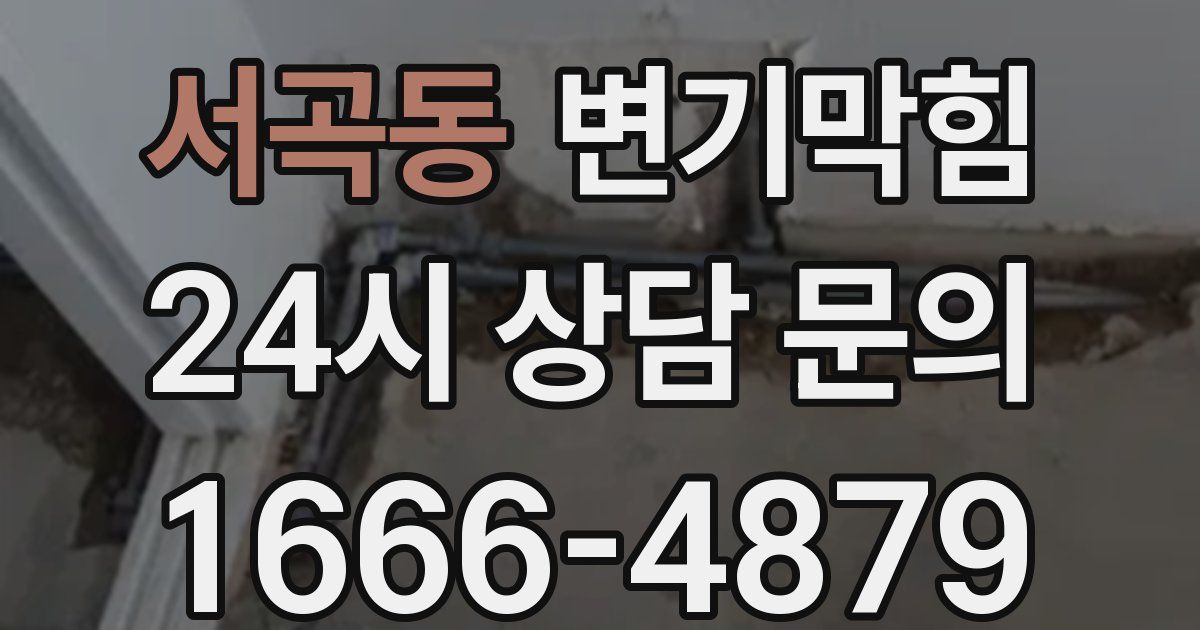 서곡동 변기