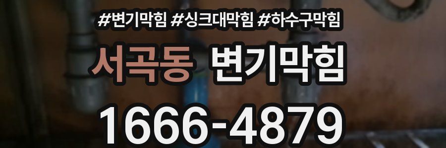 변기막힘