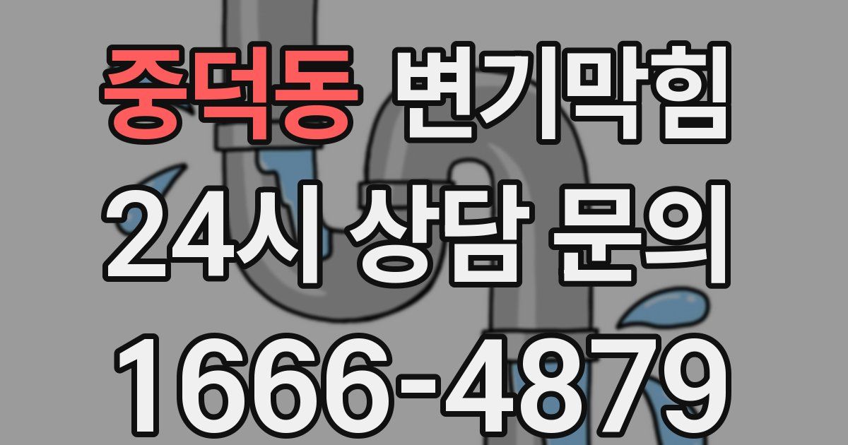 중덕동 변기