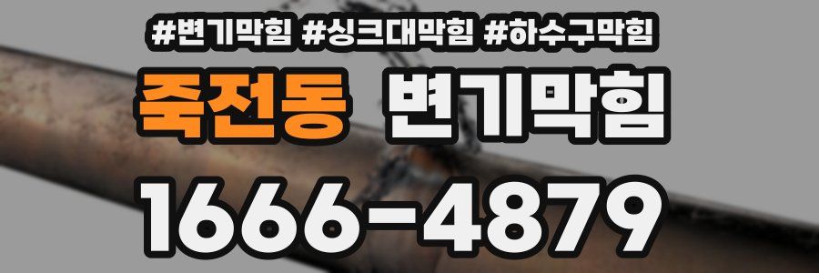 변기막힘