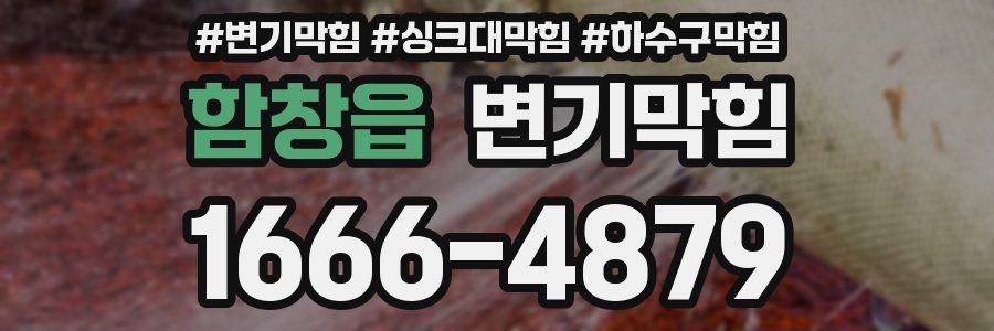 변기막힘