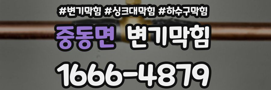 변기막힘