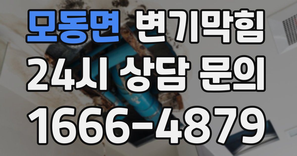 모동면 변기
