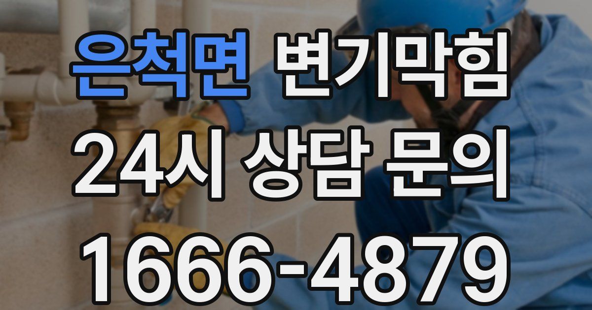 은척면 변기