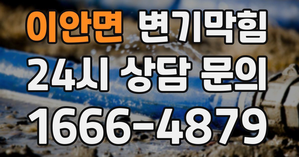 이안면 변기