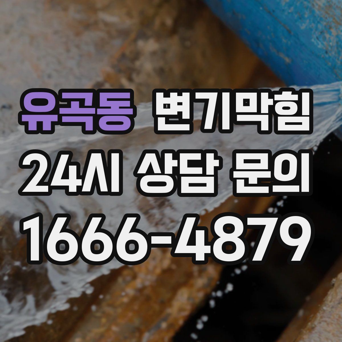 유곡동 변기막힘 변기 뚫는 업체 예약 확정 문자 확인
