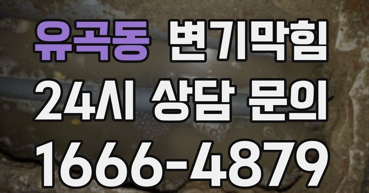 유곡동 변기