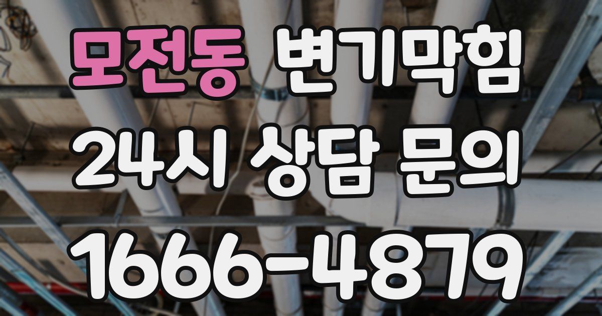 모전동 변기