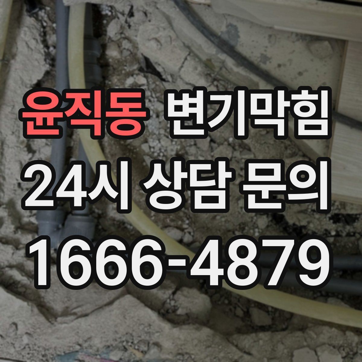 윤직동 변기막힘 뚫어뻥 새 제품 길들이는 간단 방법