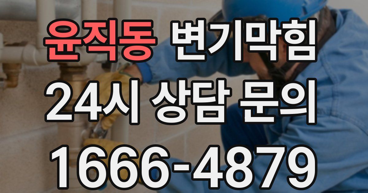 윤직동 변기