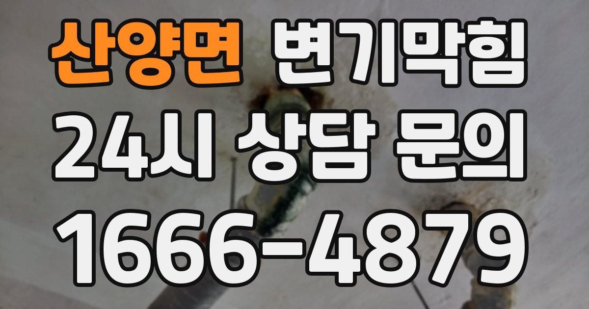 산양면 변기