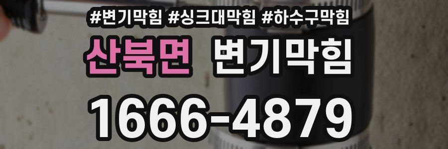 변기막힘